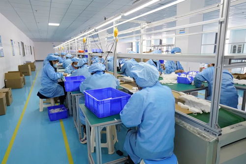 双品牌驱动与双工厂投资 国内贸易的协同发展之路