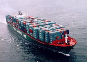 专业护航全球贸易 —— 上海馨圆实业进出口代理全解析
